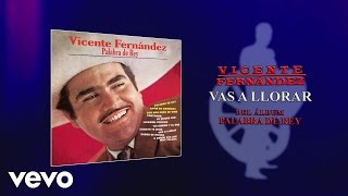 Vicente Fernández  Vas a Llorar Cover Audio [upl. by Jacinthe832]