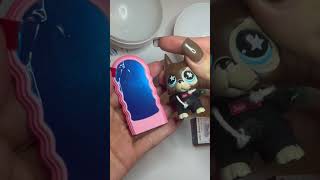 Unboxing Mini Brands Home testujemy na LPS [upl. by Adekram431]