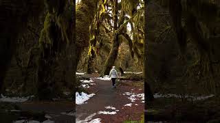 Welcome to the HOH Rainforest ☁️ usatravel hikingadventures pnw forest [upl. by Enoob54]