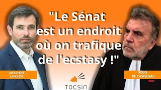 quotLe Sénat est un endroit où on trafique de lecstasy quot  Alexandre Langlois et Régis de Castelnau [upl. by Wilburt138]