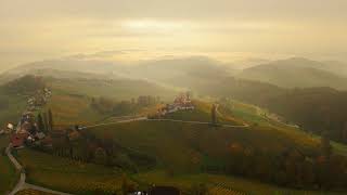 Weinberge im Nebel 7 11 2024 [upl. by Noivert]