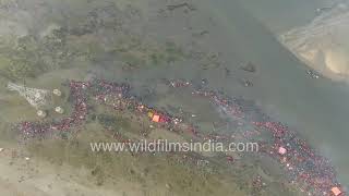 Aerial view of Chhath Puja hordes praying to the sun along the polluted Yamuna river in New Delhi [upl. by Asselam]