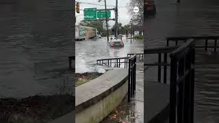 Cars seen floating in street as South Carolina hit hard by flooding rains [upl. by Charlton907]