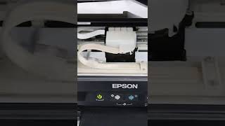 EPSON Printer [upl. by Anilatsyrc284]