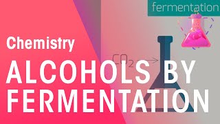 Making Alcohols By Fermentation amp From Ethane  Organic Chemistry  Chemistry  FuseSchool [upl. by Eiramesor715]