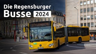 Die Regensburger Busse 2024  das Stadtwerk Mobilität [upl. by Auhsuoj254]