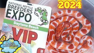 Daytona National Reptile Breeders Expo 2024 Pick Ups  VIP Early Entry [upl. by Nolly]