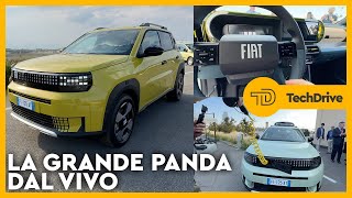 NUOVA FIAT PANDA prezzi specifiche interni [upl. by Eisdnyl]