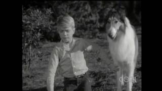 Lassie  Episode 283  quotLassie and the Eaglequot  Season 8 Ep 28  3251962 [upl. by Norahc]