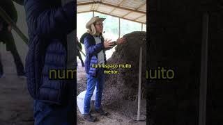 🍄 Como Desenvolver Um Novo Negócio Na Propriedade Rural cogumelos agro empreendedorismorural [upl. by Dolorita615]