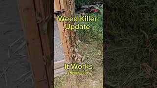 Weed killer update it works [upl. by Walburga]