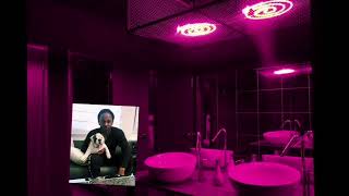 Wesleys Theory by Kendrick but youre in a club bathroom [upl. by Gustavo541]