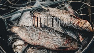 Gillnet Fishing in Northern Ontario Canada  First Nations [upl. by Noivart]