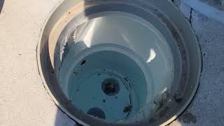 Pool filter low pressure fixes and cleaning your impeller [upl. by Islehc606]