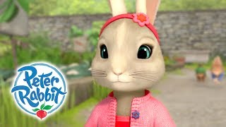 Peter Rabbit  Dangerous Song Special Brand New [upl. by Emogene148]