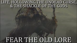 Life Hollowing the Undead Curse and the Shackle of the Gods ・ Dark Souls Lore Lost in Translation [upl. by Atirak]