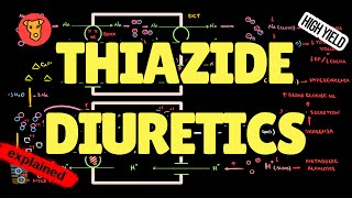 THIAZIDES DIURETICS Mechanism of action Side effect Pharmacology USMLE [upl. by Aslam]