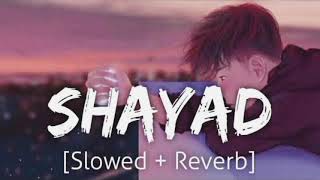 Shayad  Lofi    Arijit Singh  Bollywood cover song [upl. by Isnyl]