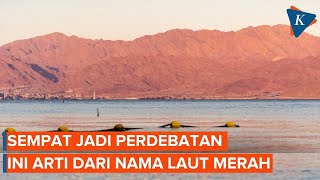 Kenapa Dinamakan Laut Merah [upl. by Aleydis]