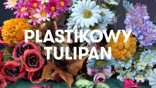 Sokół  Plastikowy tulipan Official Audio [upl. by Maleeny]