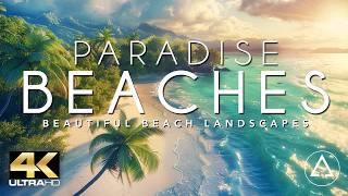 PARADISE BEACHES IN 4K DRONE FOOTAGE ULTRA HD  Beautiful Beach Landscapes Footage UHD [upl. by Sosthina]