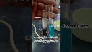 Displacement reaction of Zinc with Copper sulfate displacementreaction zinc coppersulphate metal [upl. by Waterman943]