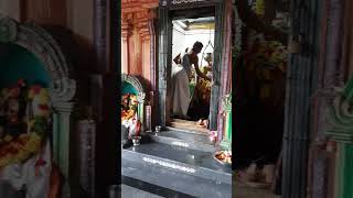 Masa shivaratri special Shiva Pooja templevibes ytshorts devotional haraharamahadevhyderabad [upl. by Angadresma]