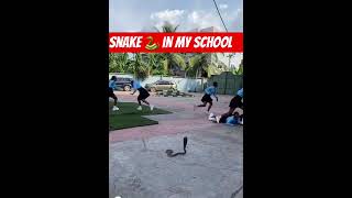 Snake 🐍 in my school shorts snake nollywoodmovies2023 [upl. by Sumner]