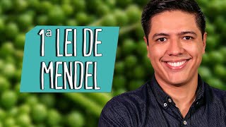 1ª LEI DE MENDEL  Genética  Prof Kennedy Ramos [upl. by Warchaw]