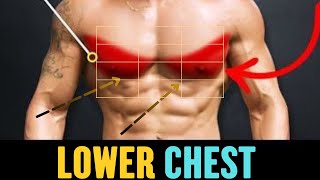 Lower Chest Get a Defined with These 7 Exercises [upl. by Antonietta407]