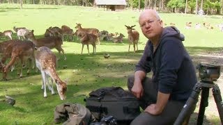 Freilaufende Tiere im Wildpark  Blende 8  Folge 98 [upl. by Artema]