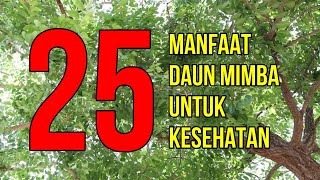 Masya Allah Inilah 25 Manfaat Daun Mimba Untuk Kesehatan dan Kecantikan [upl. by Notak558]