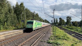 Zugverkehr in Elmshorn Werbe 101 082024 [upl. by Ilohcin]