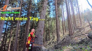 Fail wenn beim Holzfällen es nicht so läuft wie es soll… auch ich mache Fehler [upl. by Ehcadroj699]