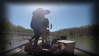 Taylorsville Lake Kentucky Crappie Fishing April 2019 [upl. by Amalle]