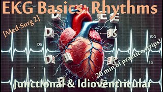 EKG Series MedSurg2 Rhythms  Junctional amp Idioventricular 21min of practice questions [upl. by Neri318]