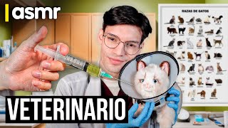 ASMR español roleplay de veterinario [upl. by Petra]