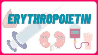 Erythropoietin  function physiology uses dosages adverse effects CKD [upl. by Ninahs813]