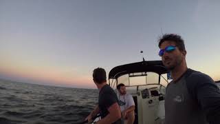 Brown Shark Fishing On Cape Cod From Boats [upl. by Dott]