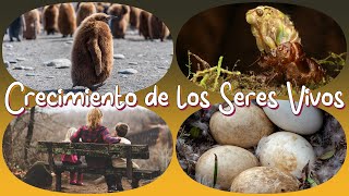 El Crecimiento de los Seres Vivos  Videos Educativos para Niños [upl. by Kadner31]