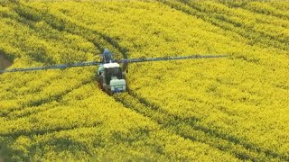 Francia reconoce el párkinson como enfermedad profesional de los agricultores [upl. by Euqinimod]