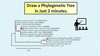 Draw Phylogenetic Tree in Just 2 Minutes phylogenetictree phylogenyfr research phd [upl. by Leummas]