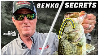 Catch More Bass on Senkos  Sight Fishing Tips [upl. by Giovanna]