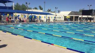 Scottsdale Aquatic Club SAC 75 SCY Sprint Work  6202020 Race 2 [upl. by Eckardt]