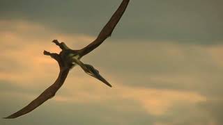 Pterodactylus  Life On Our Planet 2023 dinosaurs pterodactylus prehistoric animals mammals [upl. by Kokaras809]