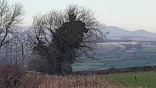 Snow in Ireland Fermoy 21 November 2021 snow snowing fermoy ireland3 [upl. by Ilrebmyk]