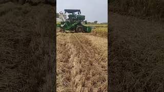 raitheraju kadu🌾🌾appudu kaledufarmlife farming [upl. by Georgia934]