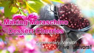 🍒 Making Authentic Maraschino Cherries🍒 Chatty Commentary Version 🍒 Jen Spice [upl. by Primavera]