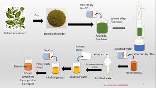 Isolation of Atropine from Belladona leaf [upl. by Haisej]