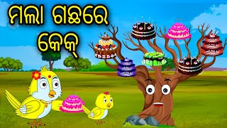 Mala Gachare Cake  Odia Cartoon Odia Bird StoriesOdia Chadhei Gapa Odia Moral Story Odia Gapa [upl. by Oznola]